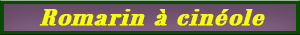 romarin_cineole.pdf