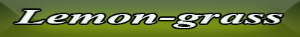lemon-grass.pdf