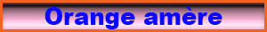 orange_amere_zest.pdf