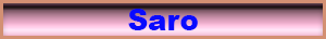 saro.pdf