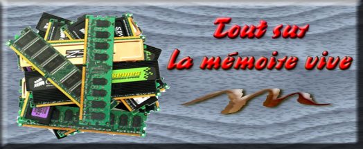 La mémoire vive