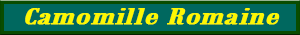 camomille_noble.pdf