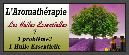 aromatherapie_7_1_probleme.pdf