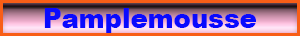 pamplemousse.pdf