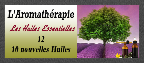 aromatherapie_12-10 huiles.pdf