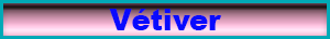 vetiver.pdf