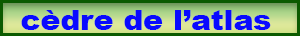 cedre_atlas.pdf