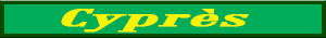 cypres.pdf