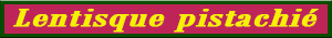 lentisque_pistachier.pdf
