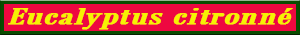 eucalyptus_citronne.pdf