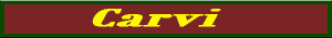 carvi.pdf
