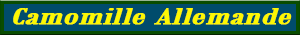 camomille_allemande.pdf