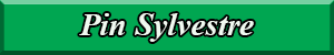 pin_sylvestre.pdf