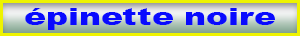 epinette_noire.pdf