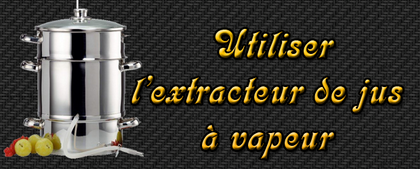Comment utiliser un extracteur de jus-6-19.pdf