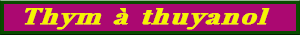 thym_thujanol.pdf