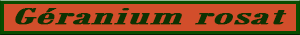 Geranium_rosat.pdf
