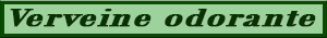 verveine_odorante.pdf
