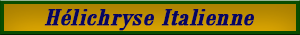 immortelle.pdf