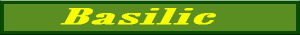 basilic_exotique.pdf