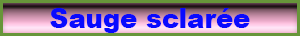 sauge_sclaree.pdf