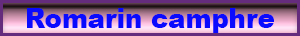 romarin_a camphre.pdf