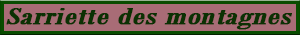 sarriette_montagne.pdf