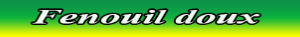 fenouil.pdf
