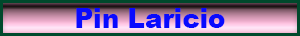 pin_laricio.pdf