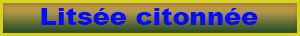 litsee_citronnee.pdf