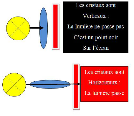 wpeb8c9030_0f.jpg