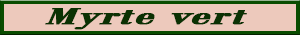 myrte_vert.pdf