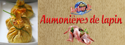 aumoniere_lapin.pdf