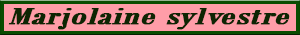 marjolaine_sylvestre.pdf